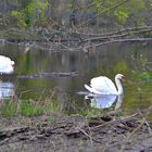 Natur erleben - an der Nahe (Bad Münster a. Stein)