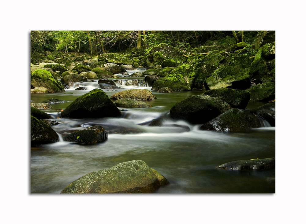 Natur erleben