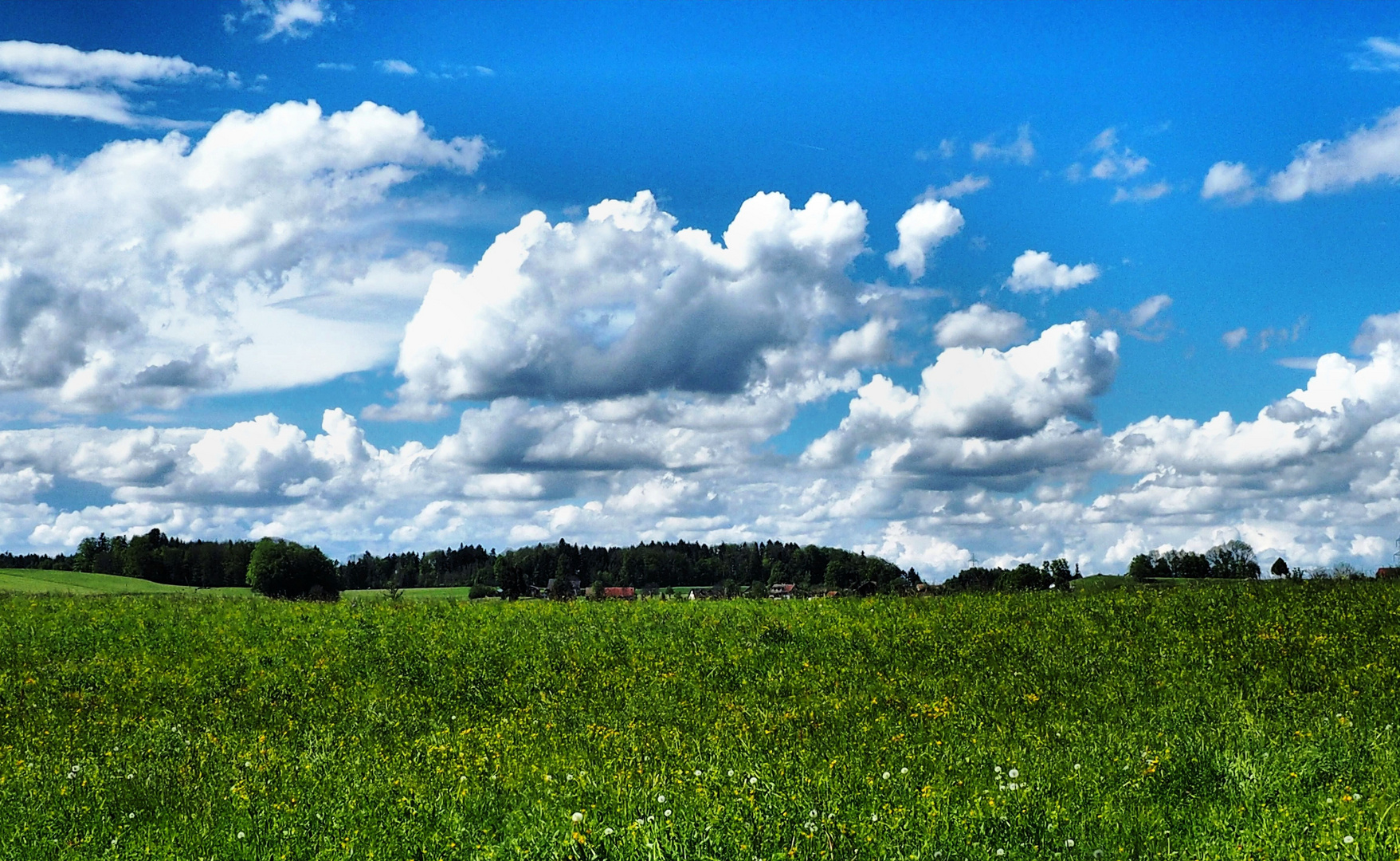 Natur erleben