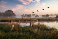 Natur erleben