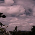 Natur erleben in allen Farben