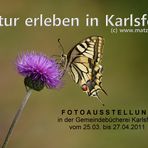 Natur erleben in Karlsfeld