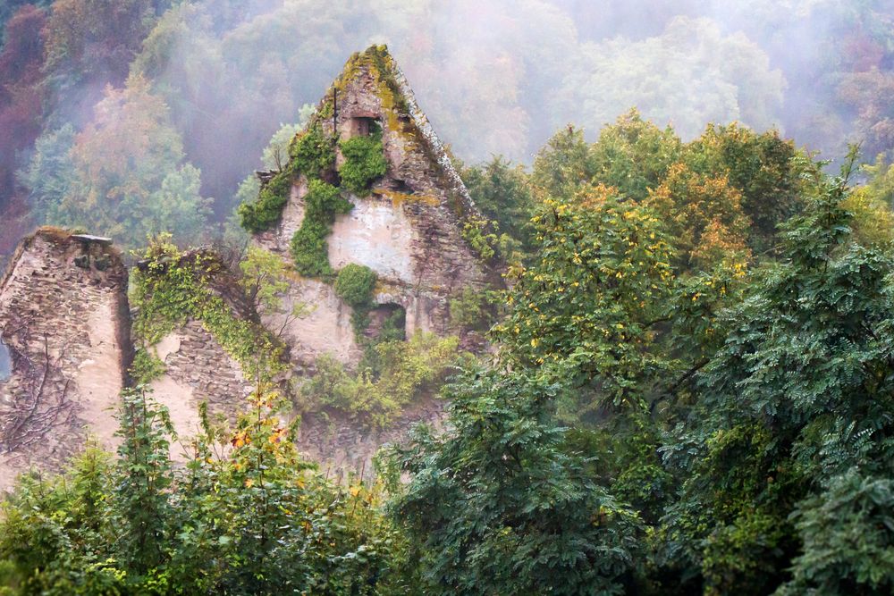 Natur erobert alte Burg