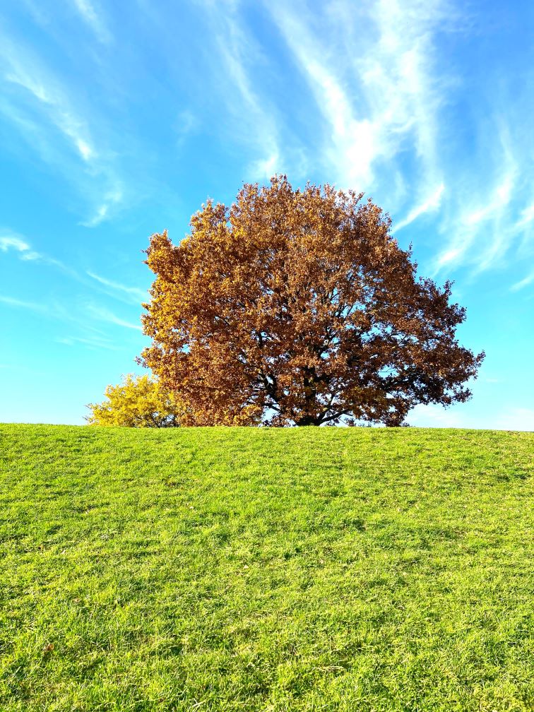 Natur - Farbenspiel