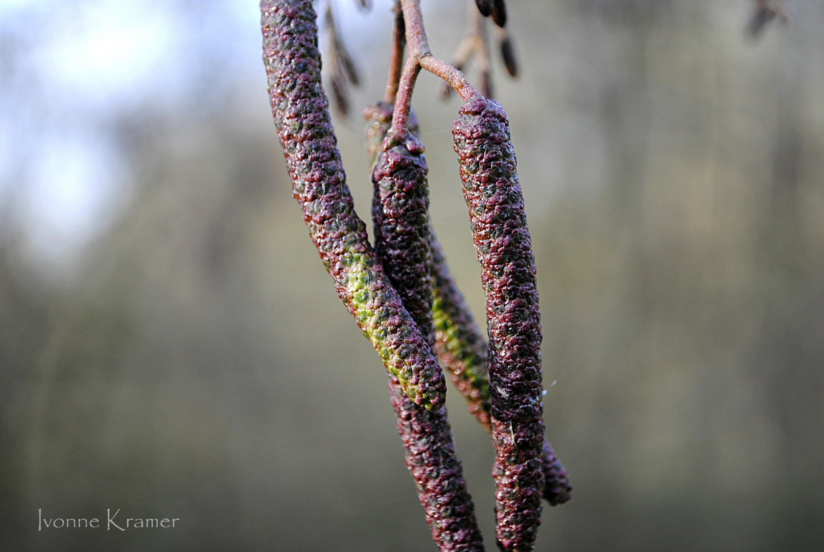 Natur ganz nah!