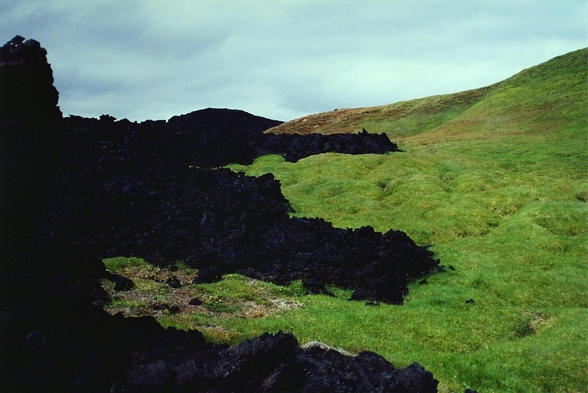 Natur gegen Natur