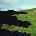 Natur gegen Natur