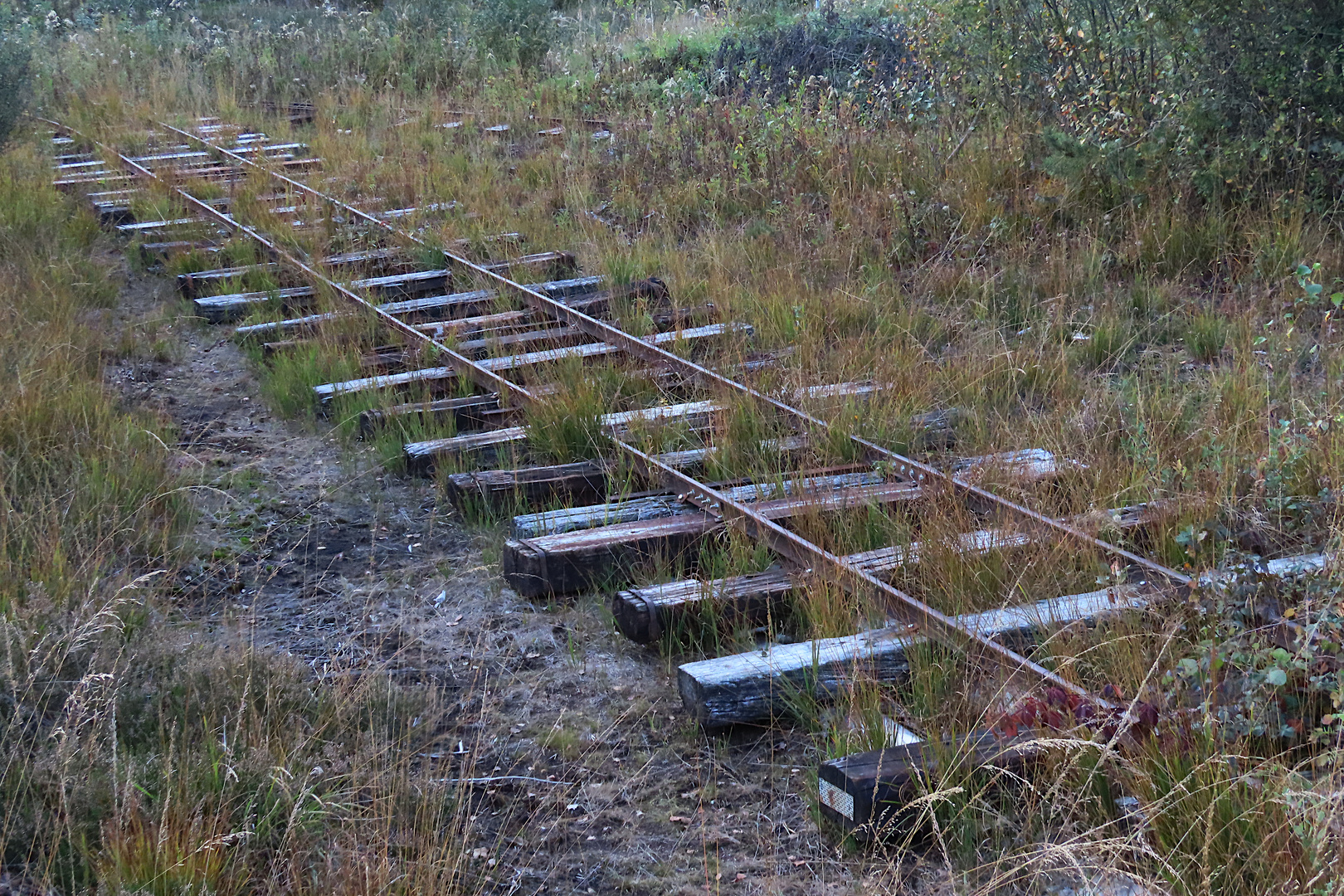 Natur gegen Technik