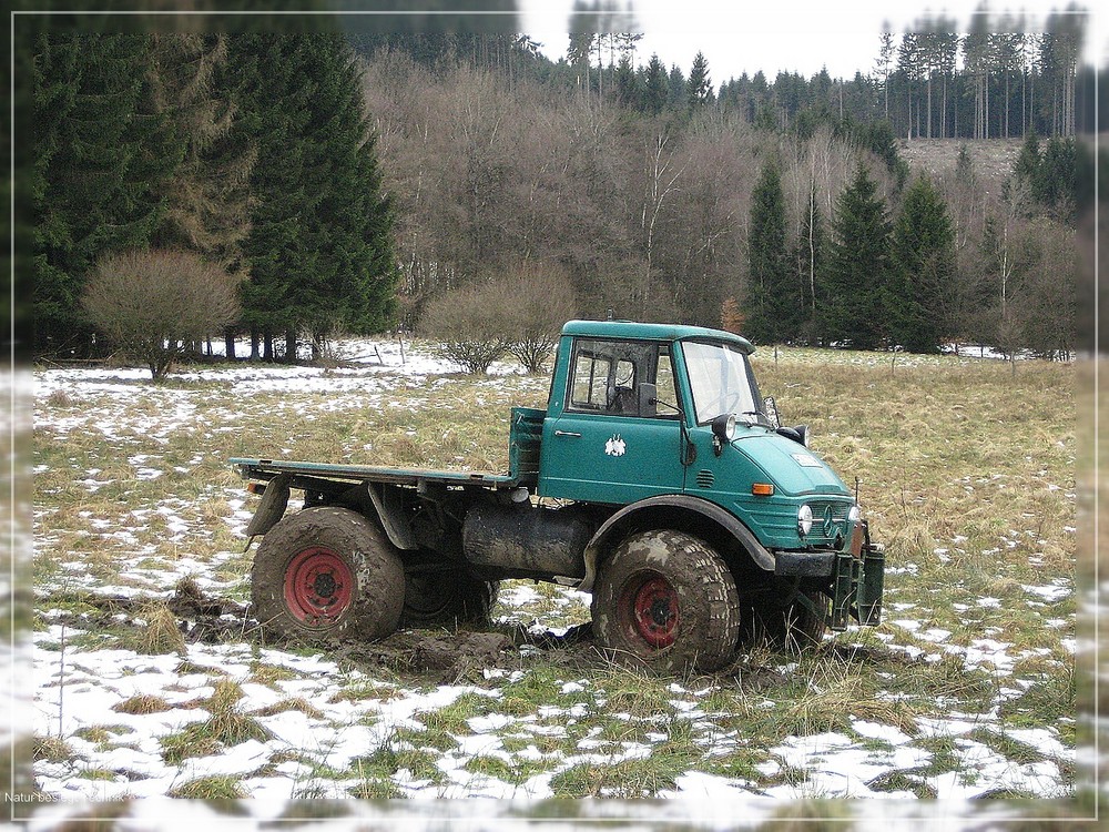 Natur gegen Technik