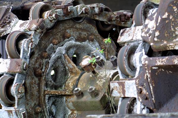 Natur gegen Technik