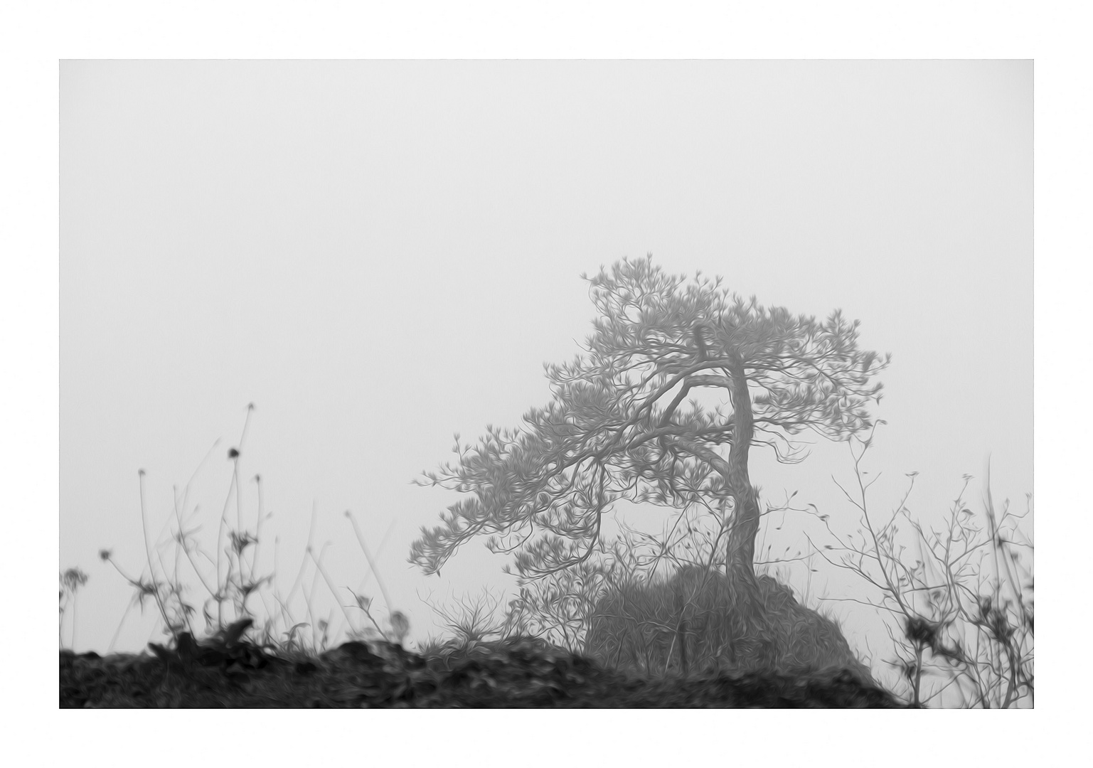 Natur Gemalt Foto Bild Monochrom Bearbeitungs Techniken Diciart Bilder Auf Fotocommunity
