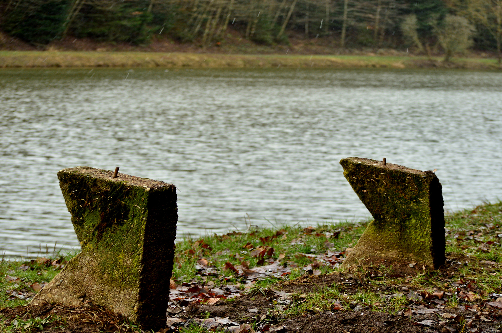 Natur genießen 