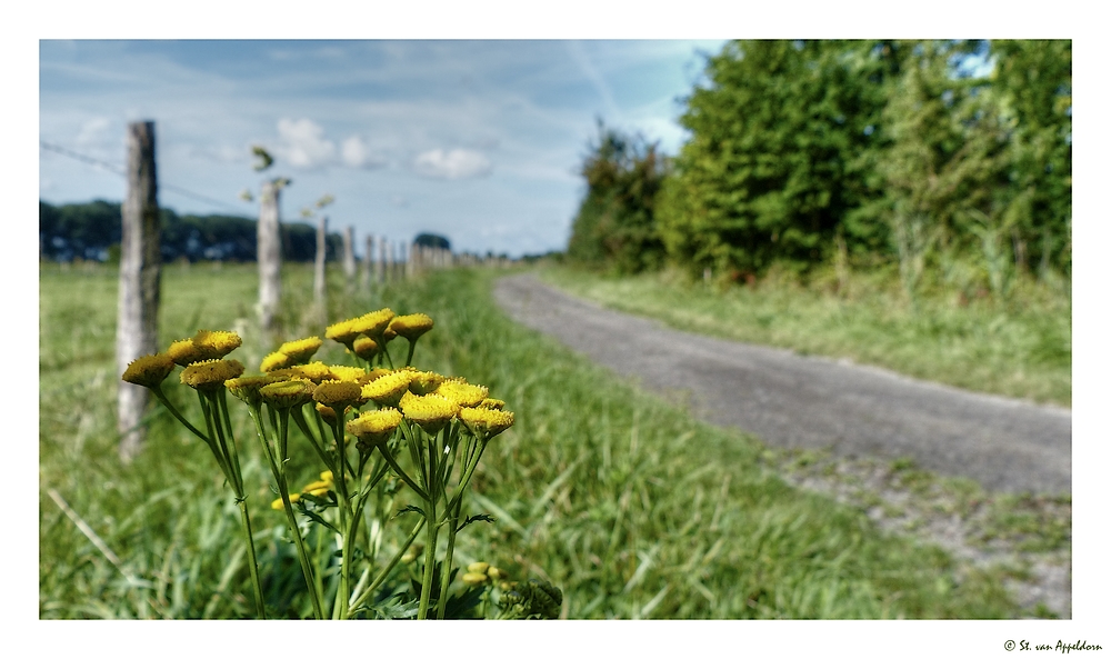 Natur geniessen