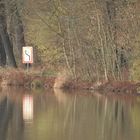 Natur genießen