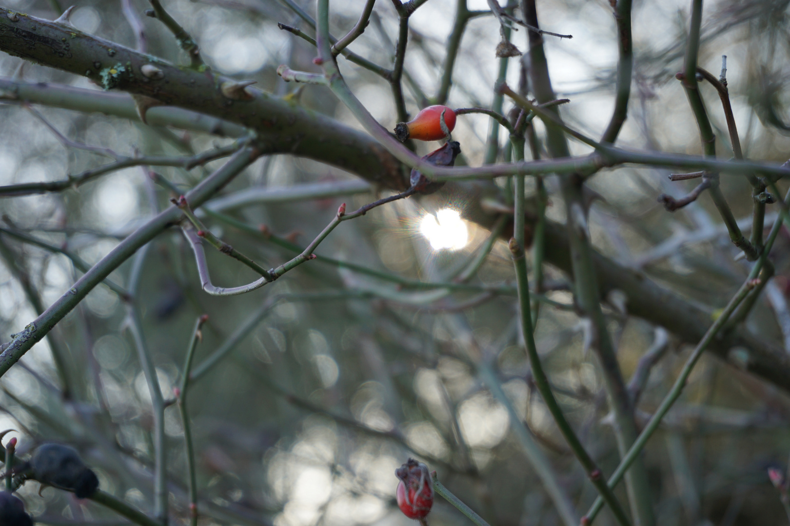 Natur genießen 