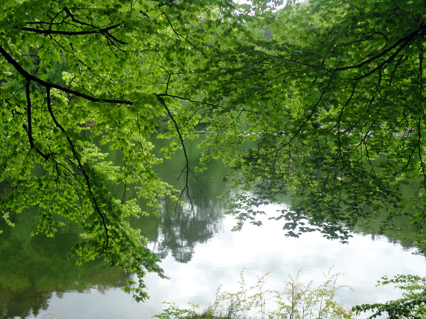 Natur genießen