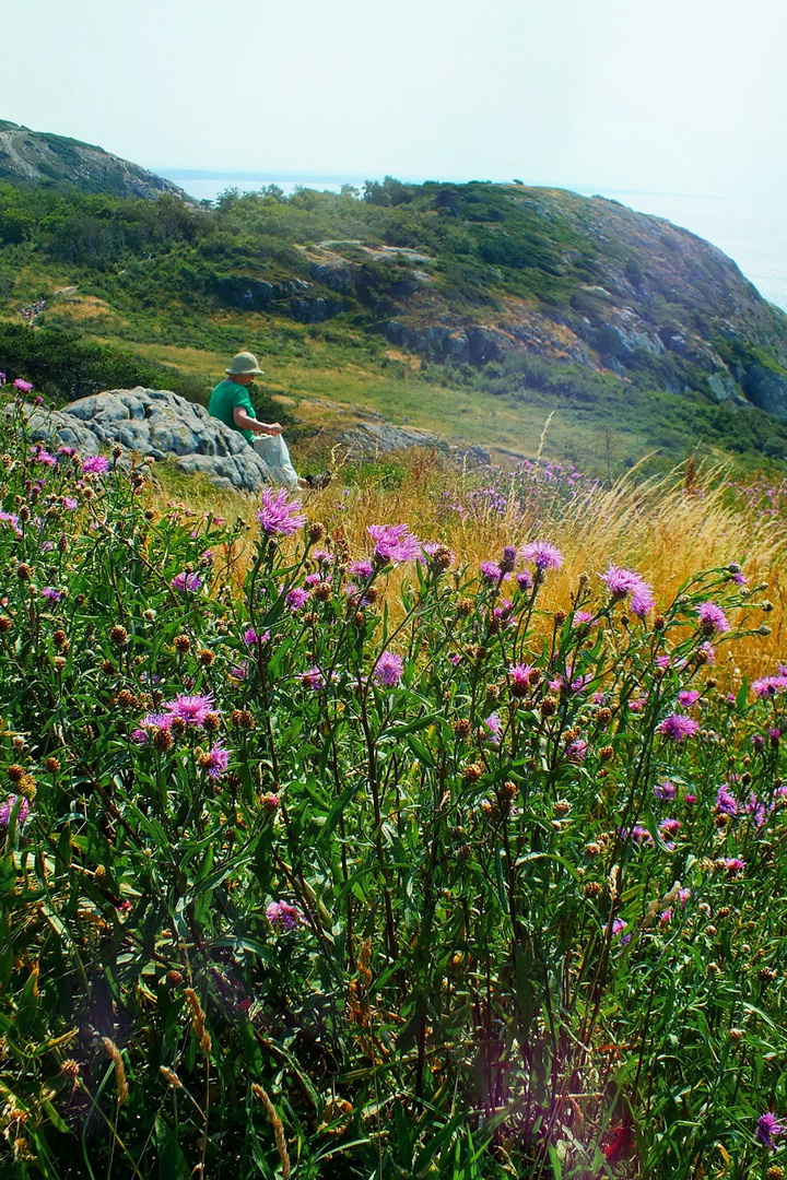 Natur genießen