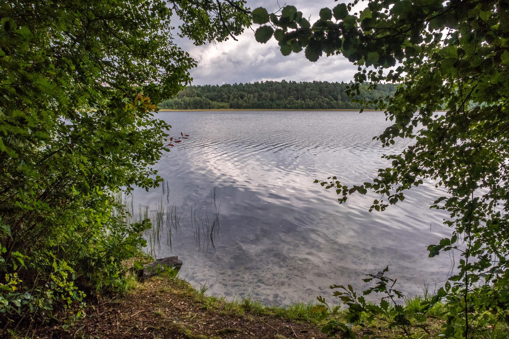 NATUR genießen