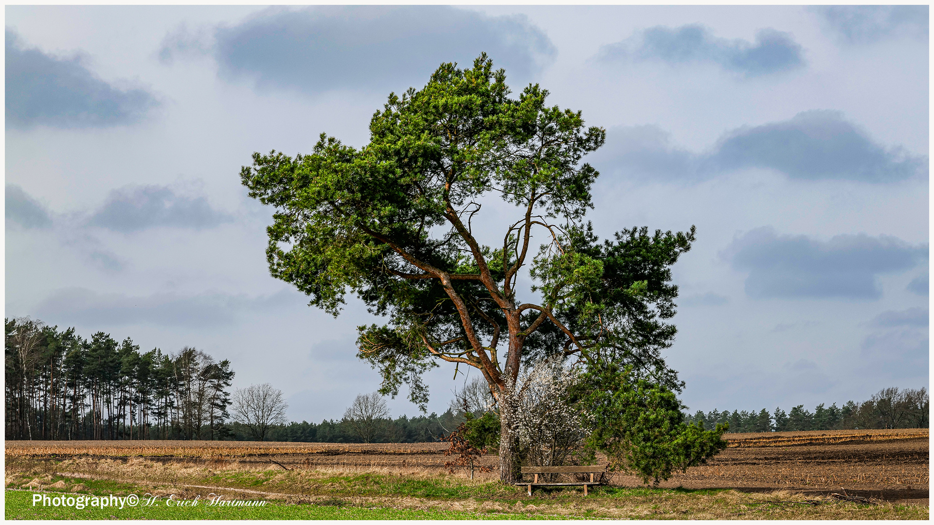 Natur-Genießer-Bank