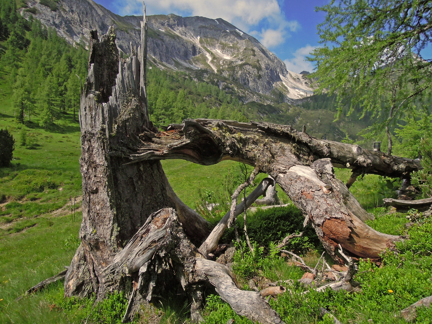 Natur - "Gewalten"