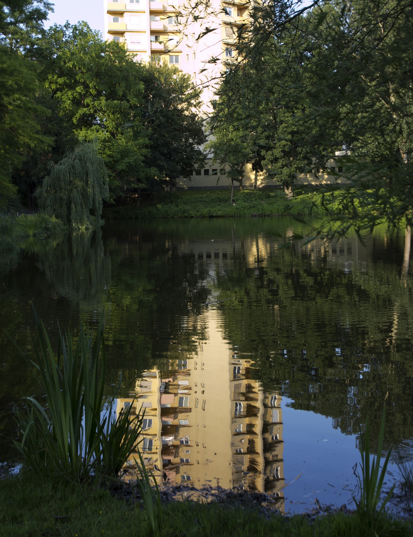 Natur gibt es auch mitten in Berlin...