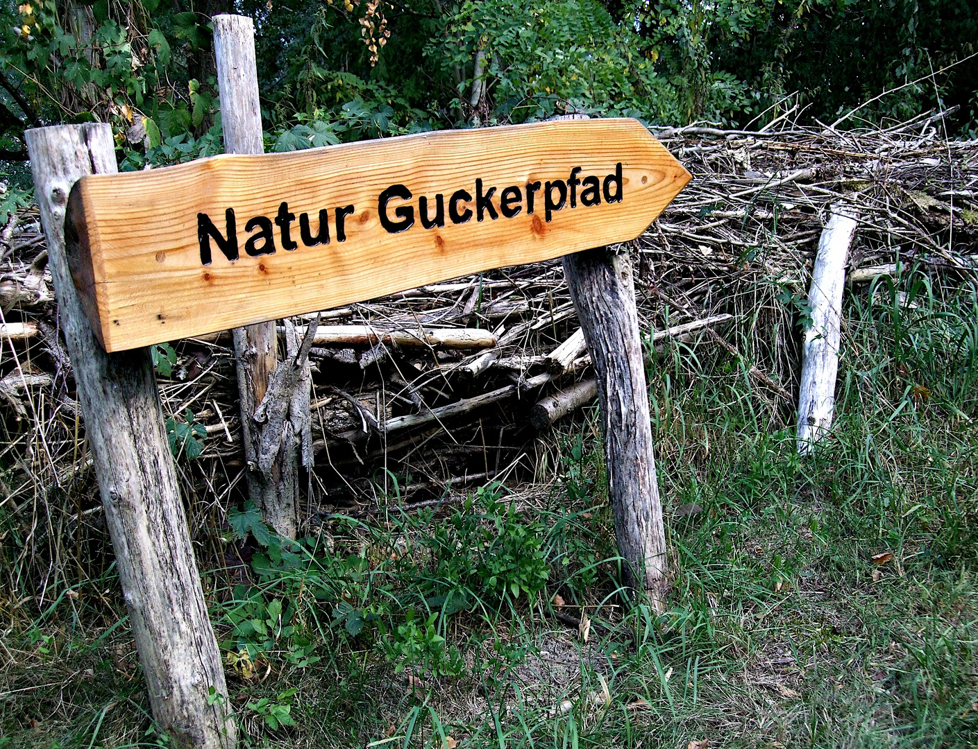 Natur-Guckerpfad ...