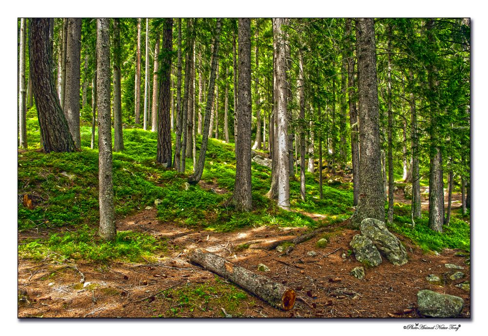 Natur hautnah erleben