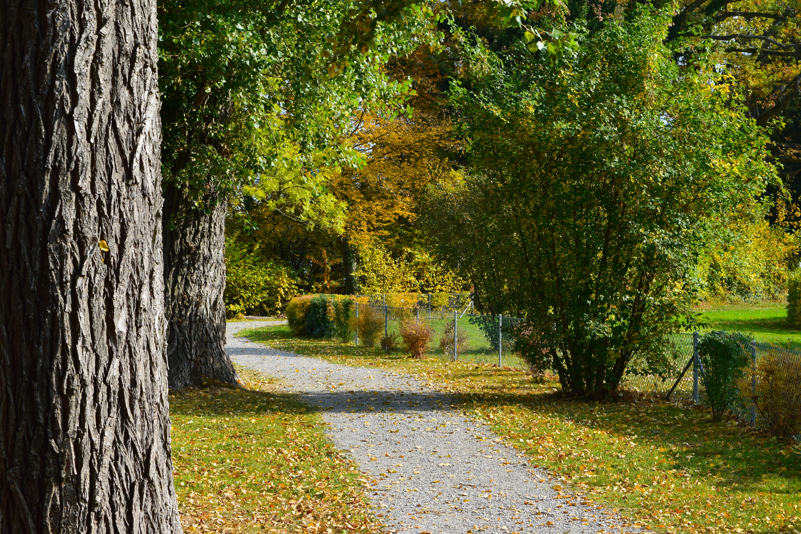 Natur Herbstweg