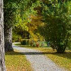 Natur Herbstweg