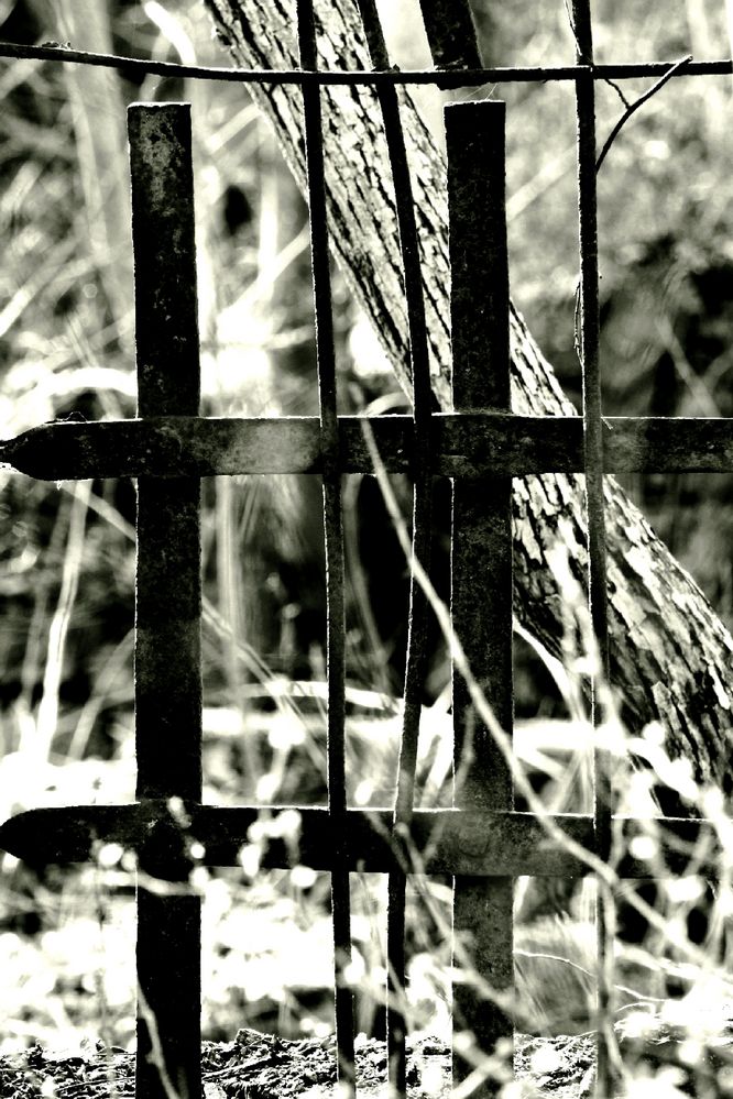 Natur hinter Gittern