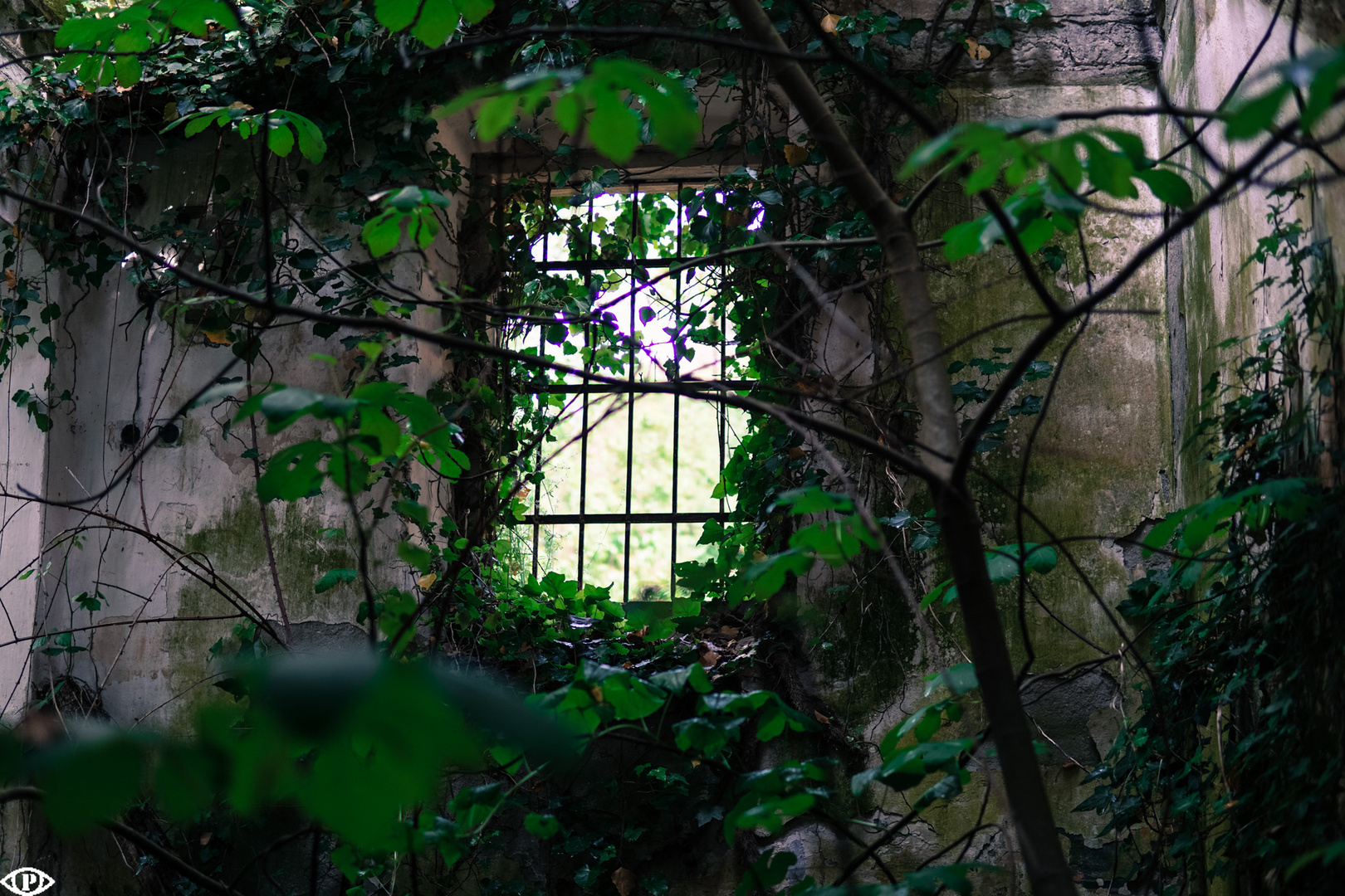 Natur hinter Gittern