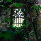 Natur hinter Gittern