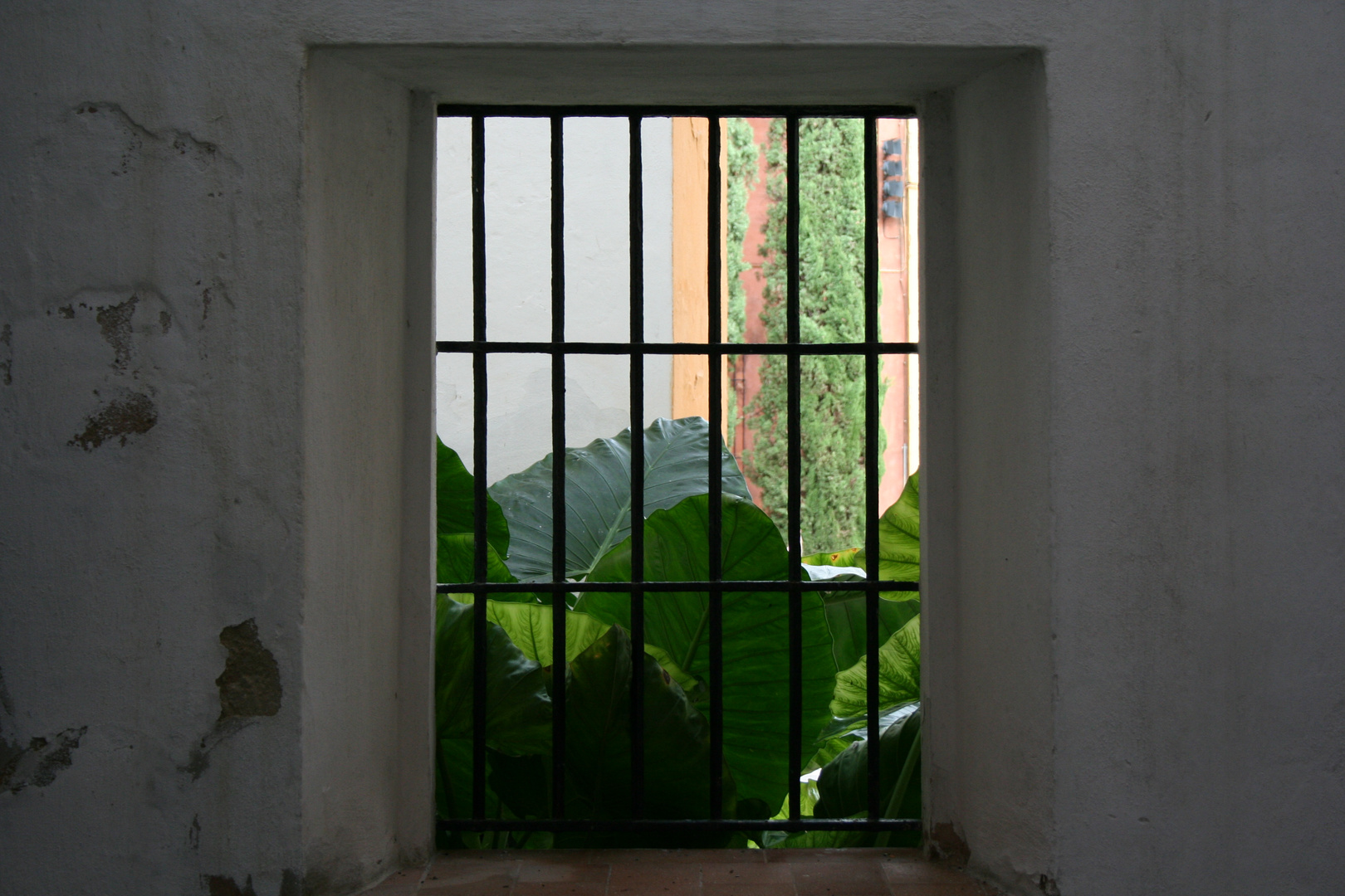 Natur hinter Gittern?