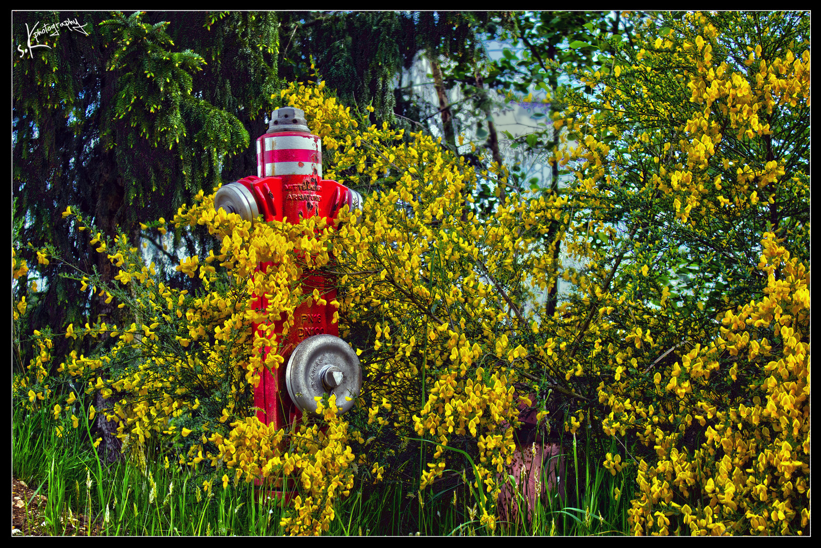 ..Natur holt sich alles irgendwan wieder.....