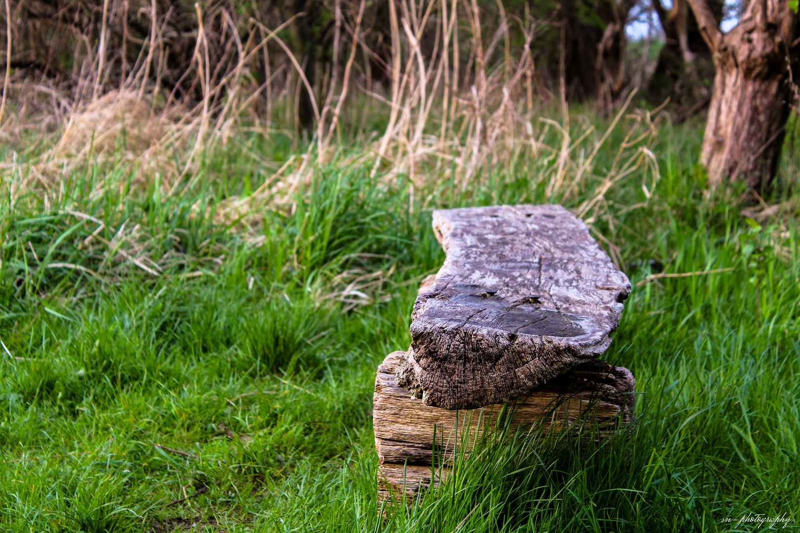 Natur-Holzbank