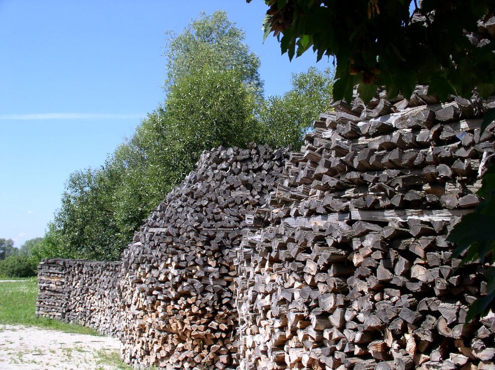 Natur – Holzbaukunst -1 Ansicht