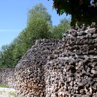 Natur – Holzbaukunst -1 Ansicht