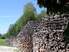 Natur – Holzbaukunst -1 Ansicht