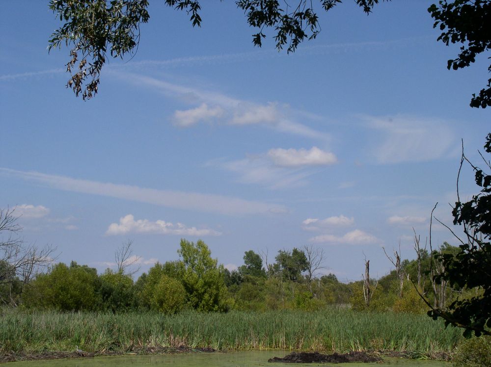 Natur – Holzbaukunst - 6 Aussicht