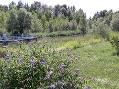 Natur – Holzbaukunst - 8 Anblick