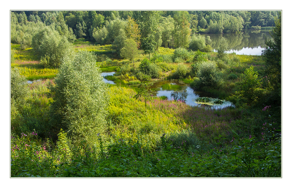 Natur-Idyll oder 7.000 Ziegen... ?