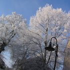 Natur im alten Dorfambiente