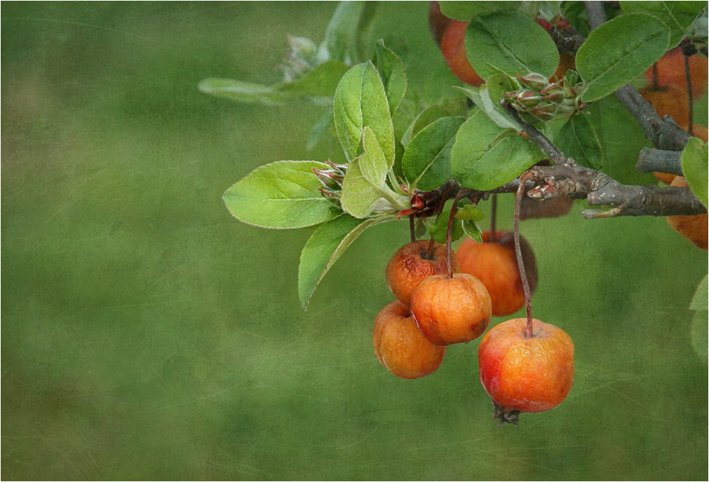 Natur im Aufbruch