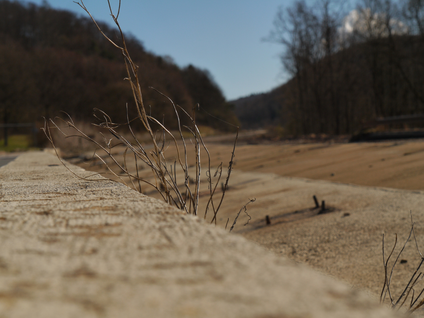 Natur im Beton