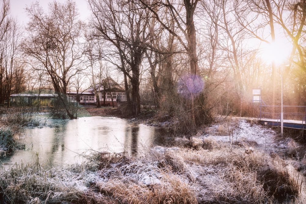 Natur im Brandenburger Winter