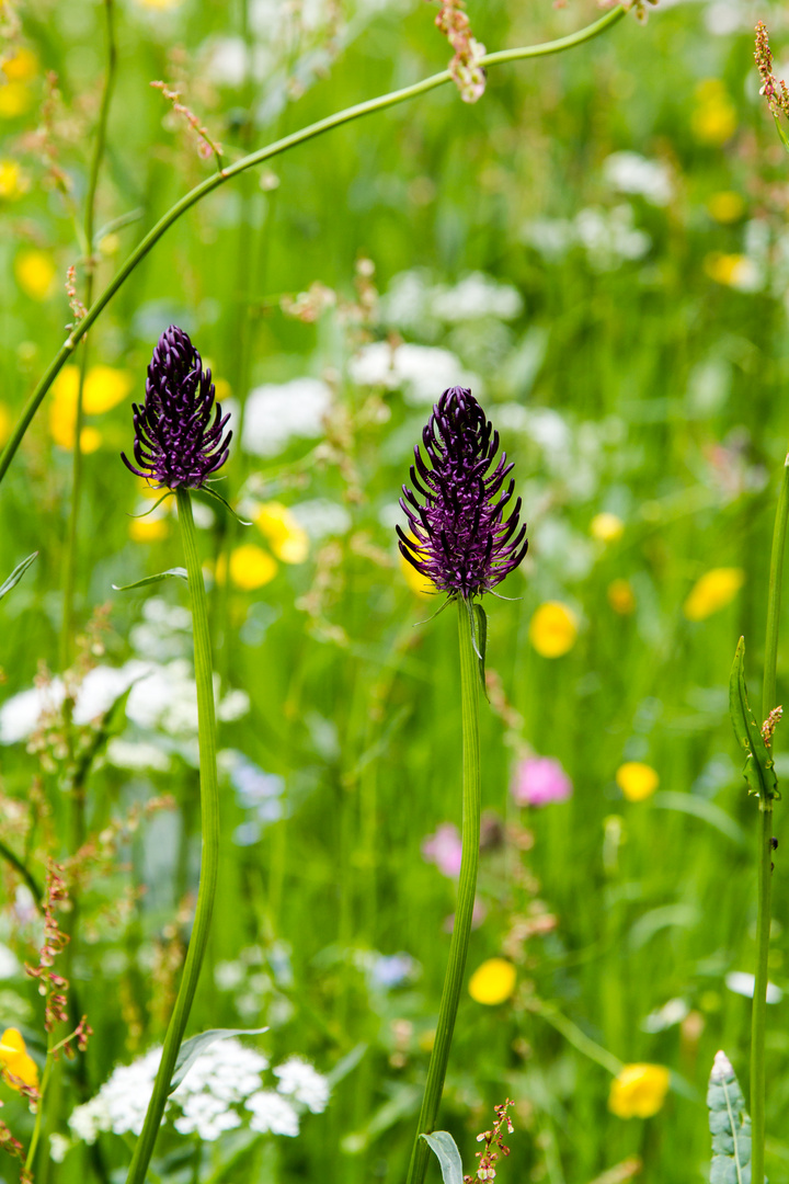 Natur im Doppelpack