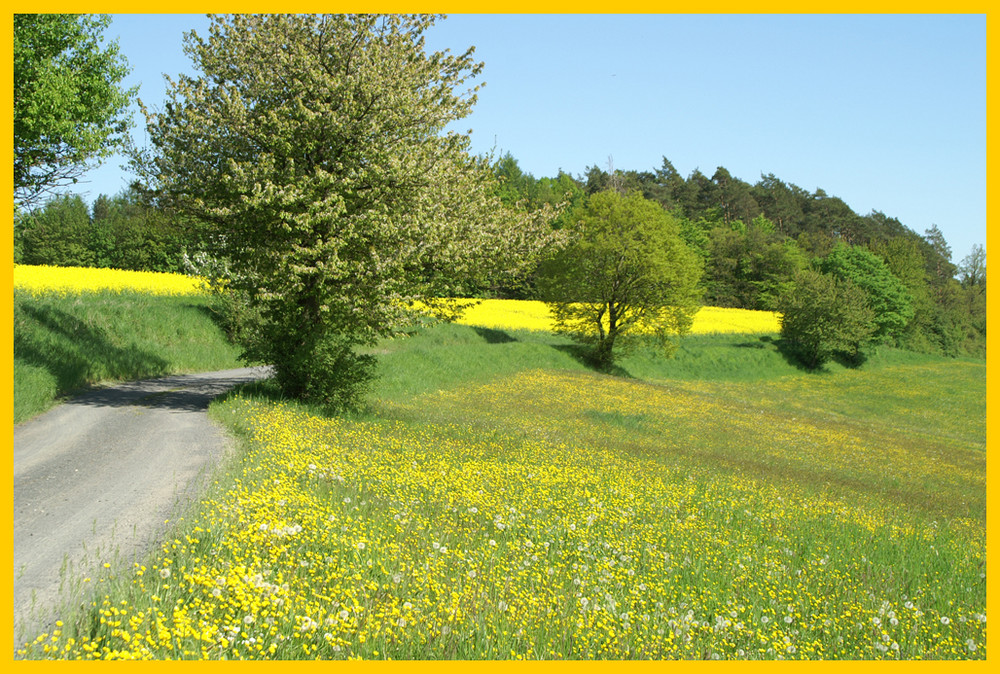 Natur im Einklang