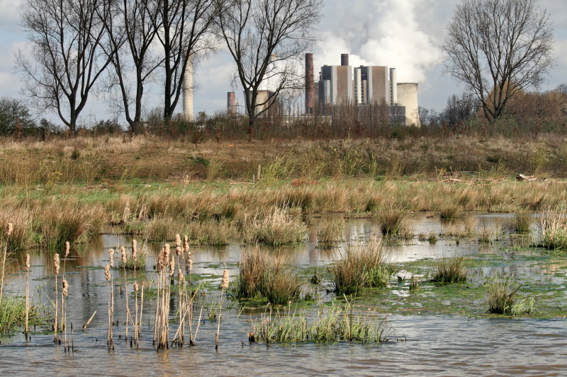 Natur im Einklang mit der Industrie.