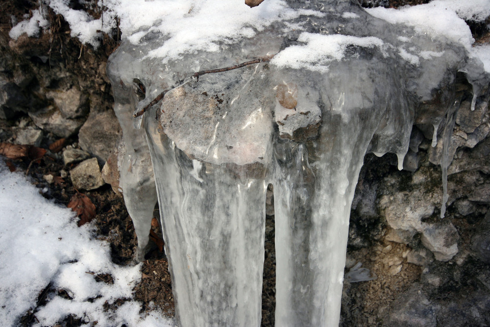 natur im eiszapfen