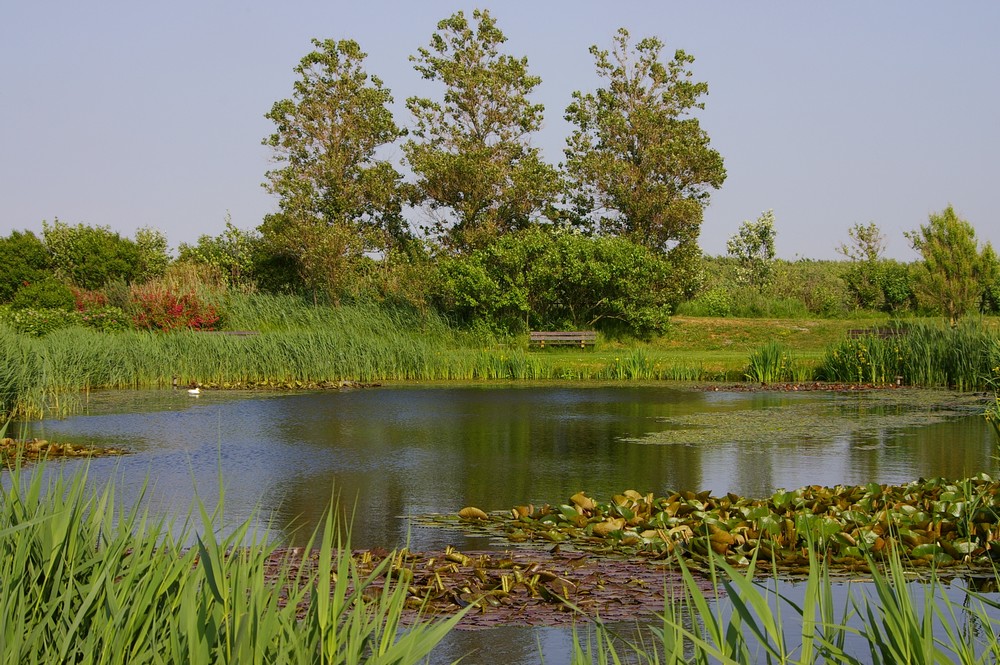 Natur im Ferienpark #2